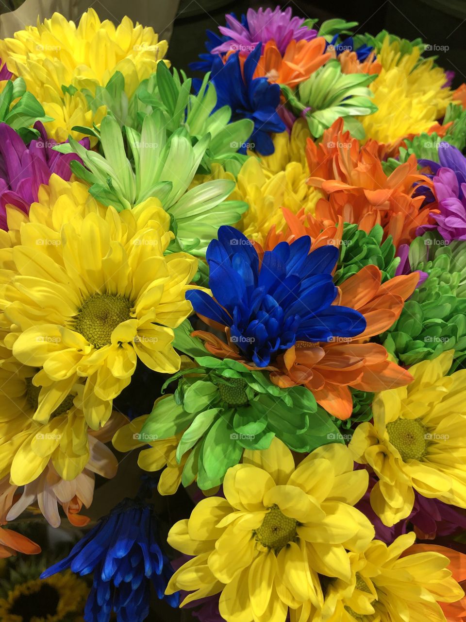 Flowers from Fry’s