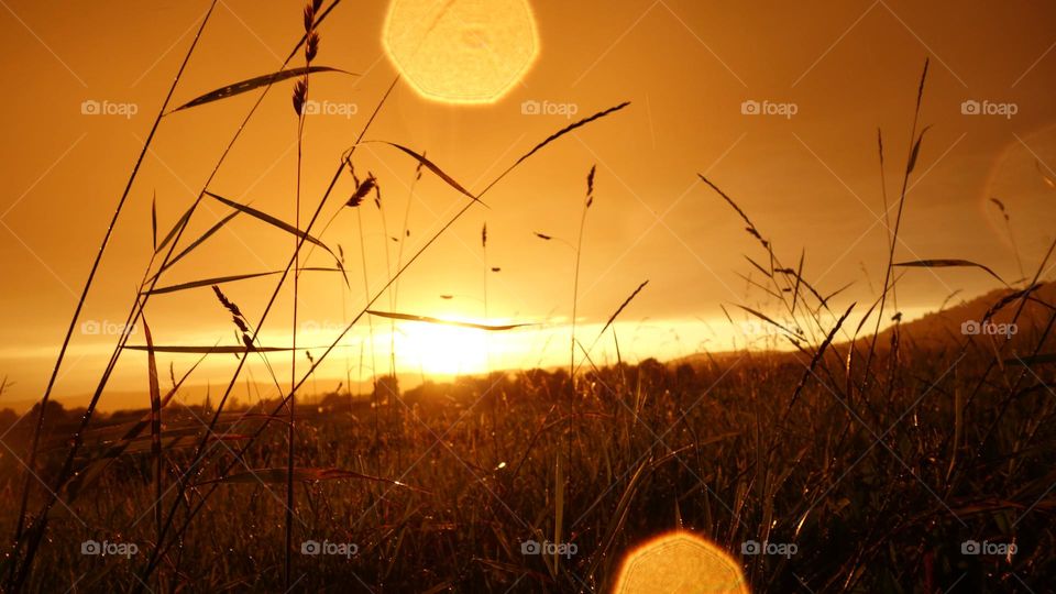 A beautiful sunrise creating a stunning scenery