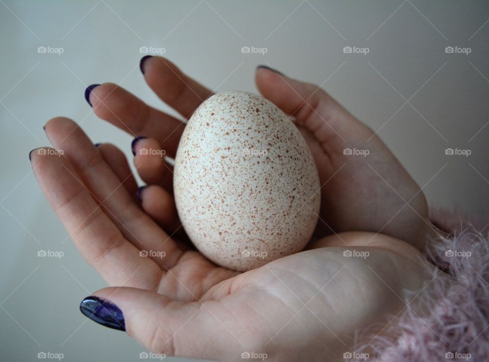 turkey egg in hands