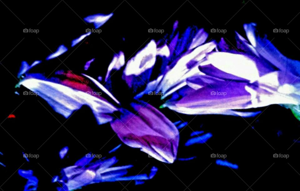 disarray. lighting effects