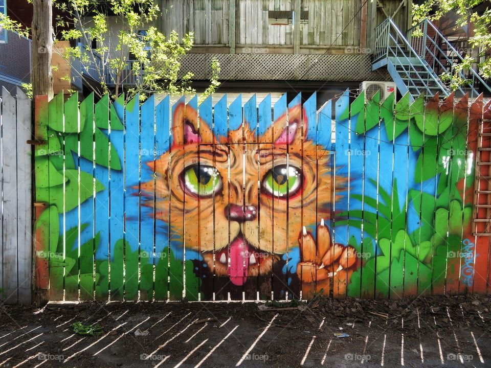 Alley cat