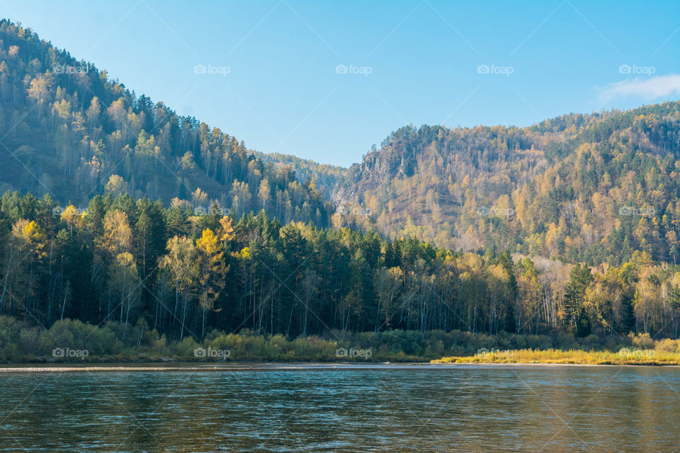 Idyllic view of lake and forest