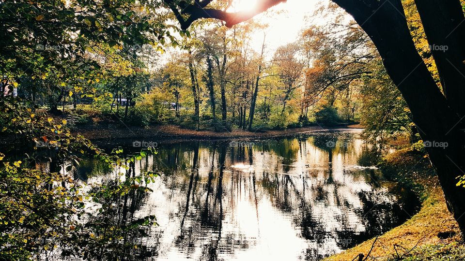 Scenic view of nature