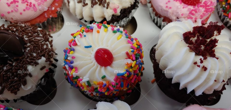 Sprinkle Cupcakes for Birthday Party