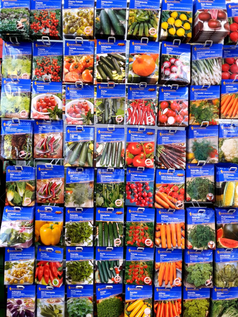 many different seeds for vegetables in horticulture market