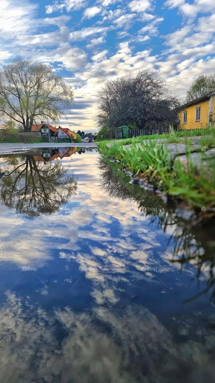 Reflection 