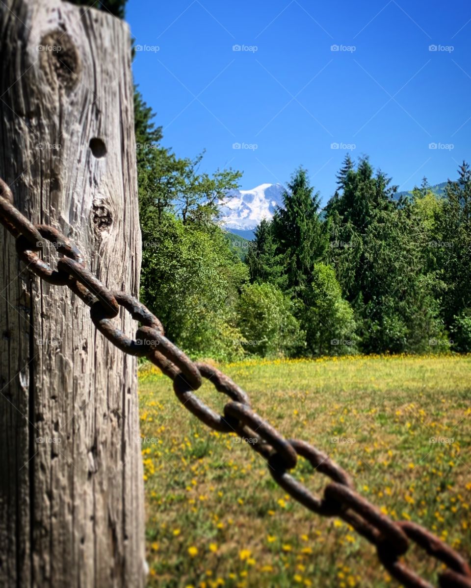 Peek a boo.. the Mt is playing hide and seek! 