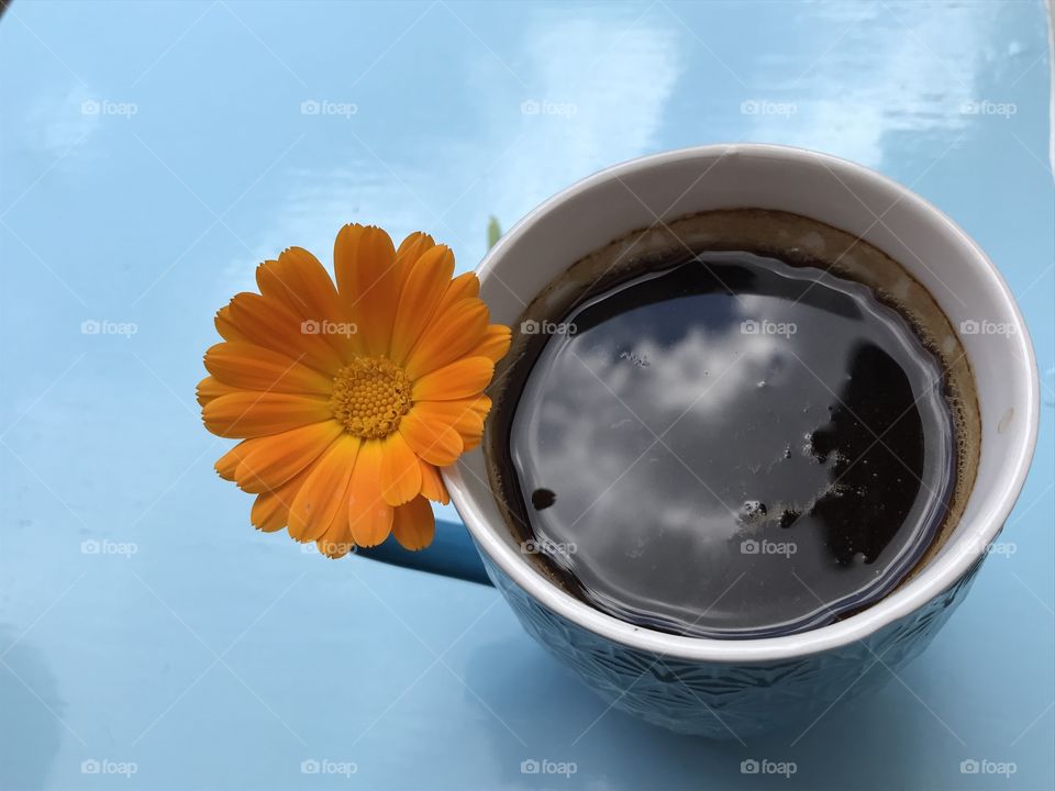 The blue coffe cup with orange flower.