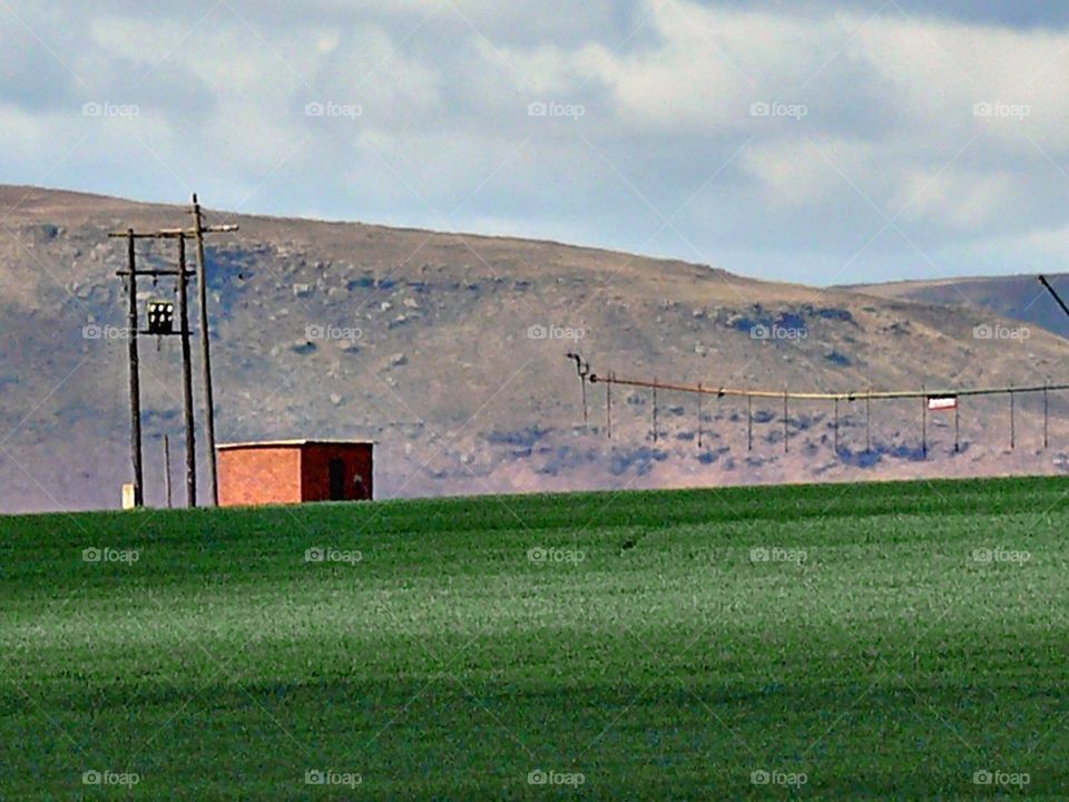 Clouds over corn fields