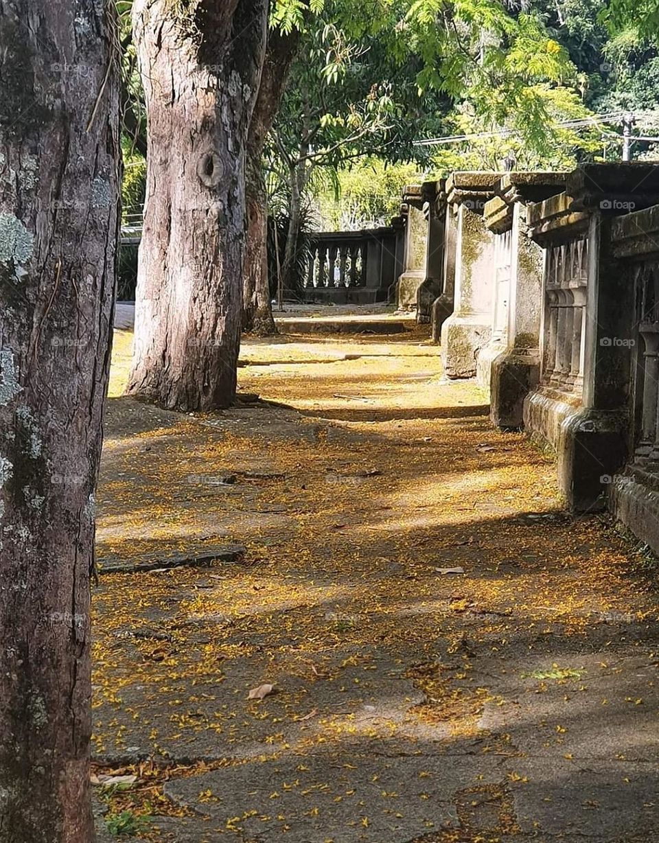 Autumn in Petropolis - Imperial City