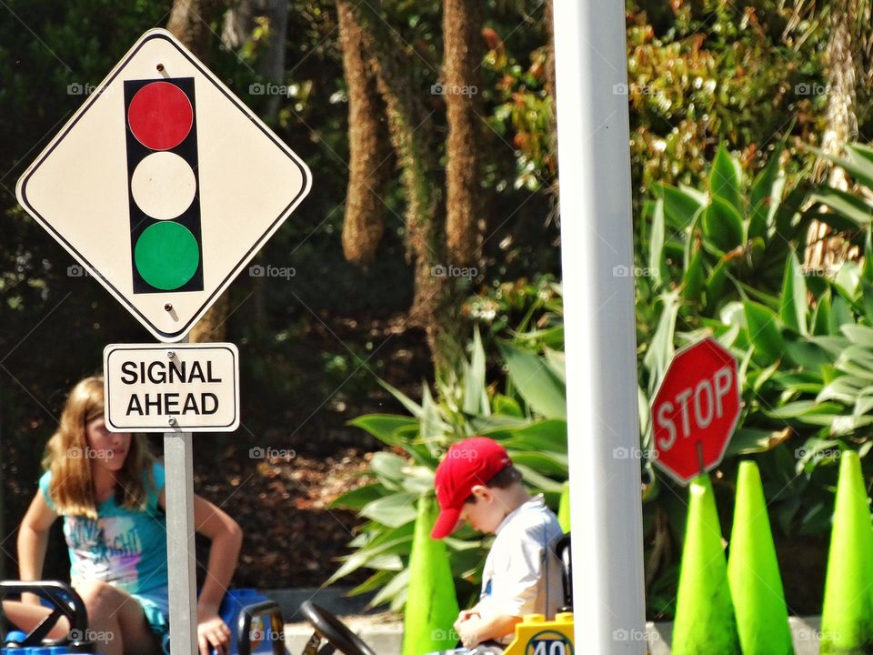 Traffic Signs. Colorful Traffic Signs On The Road
