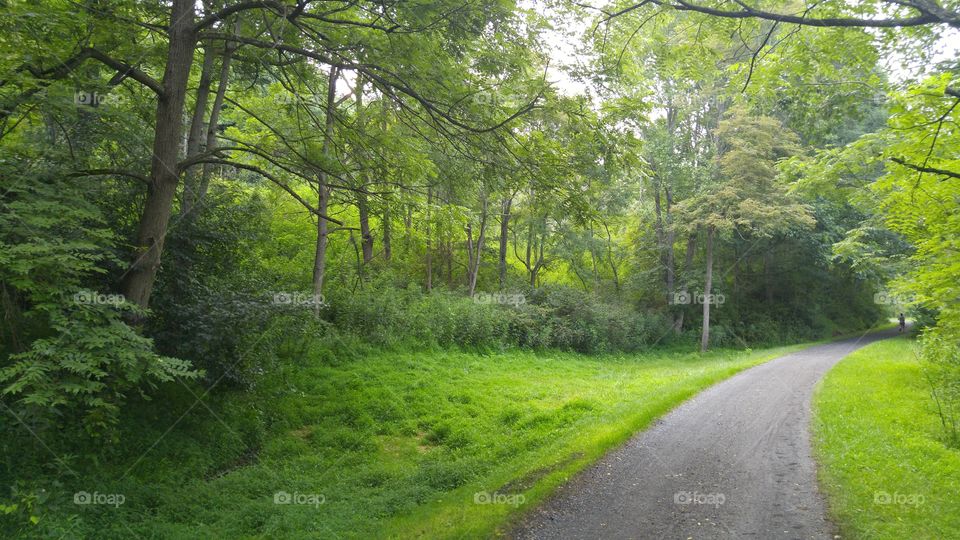 New River Trail. Very green and beautiful spot on the New River trail in Virginia