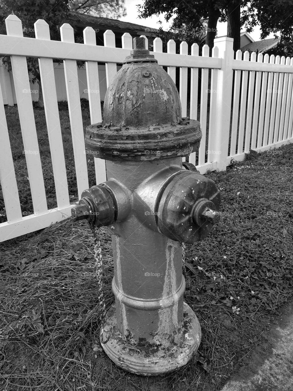 Black as white fire hydrant close up