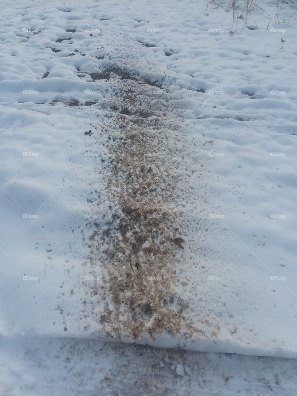 mud snow