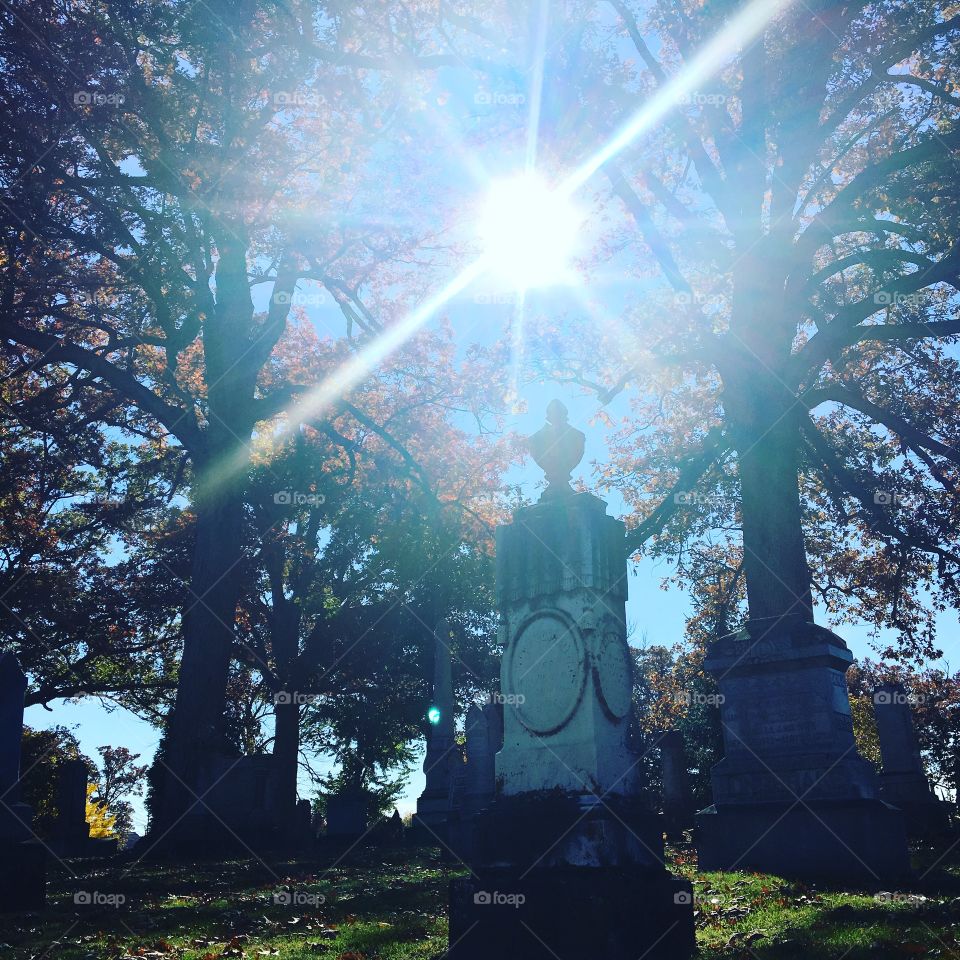 Tombstone in the sun 