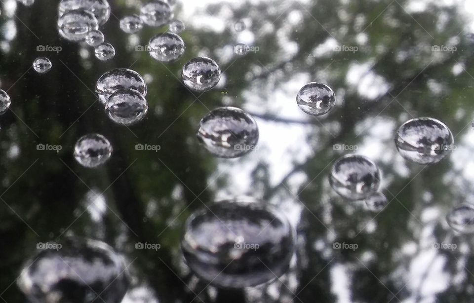 Rain drops on a window