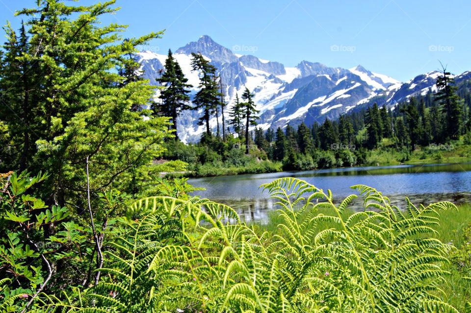 Snowy mountains in the lake