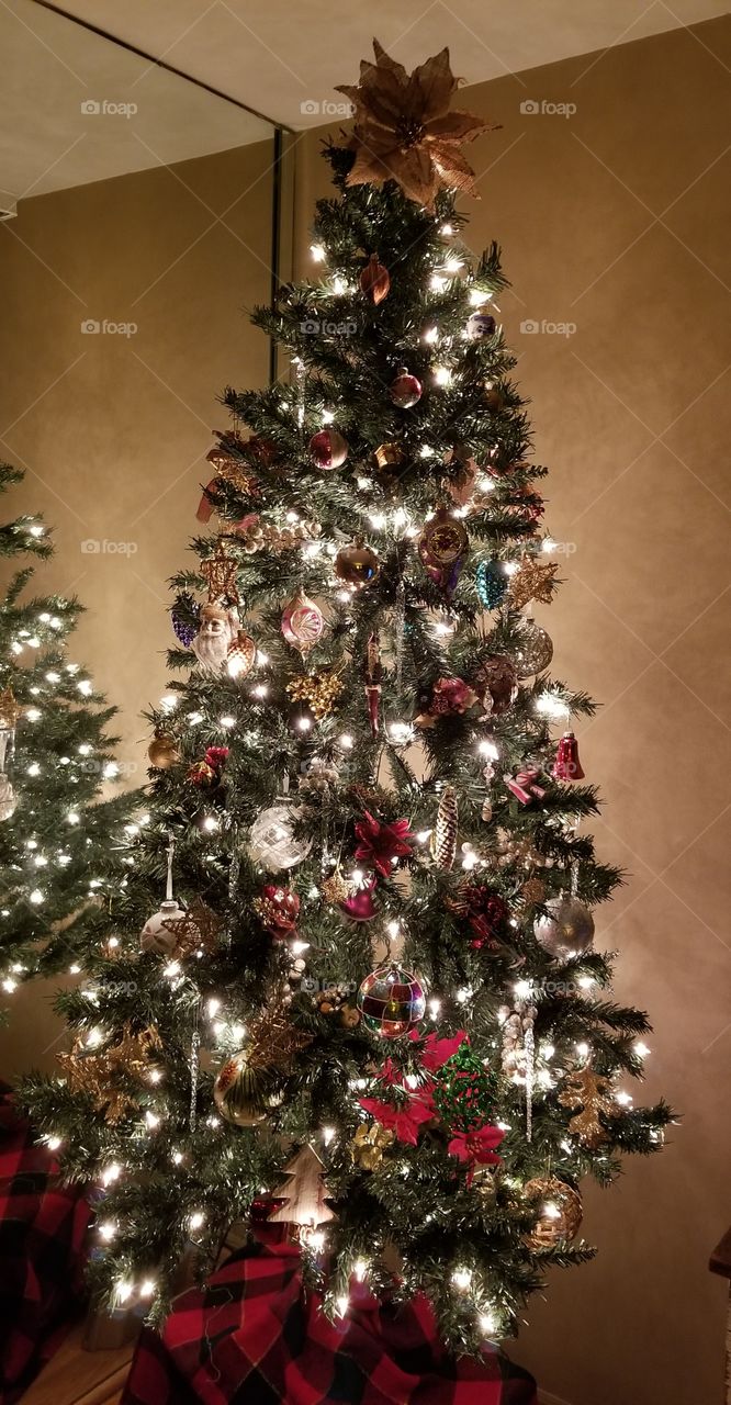 country christmas tree