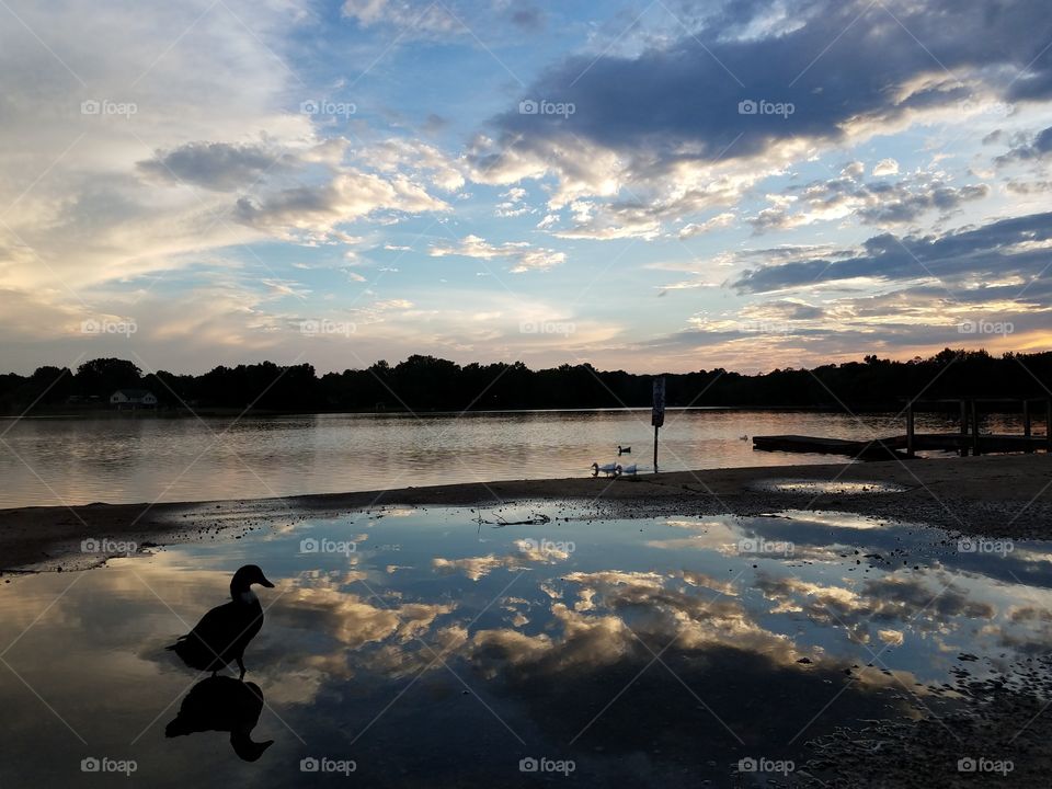 Silhouette in the reflections of the sunset