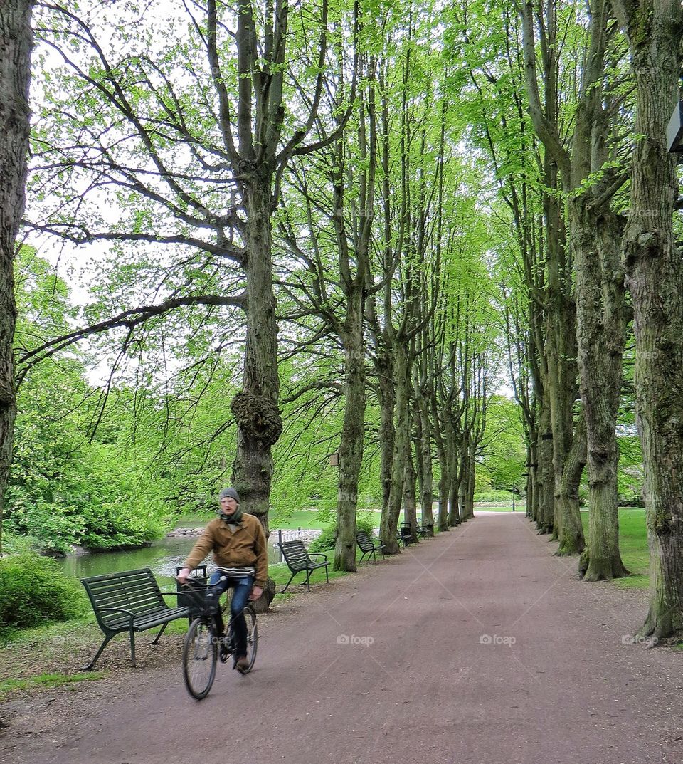 Bike ride in the park 