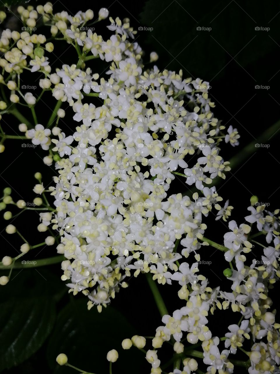 Все пахнет иначе, когда идет дождь