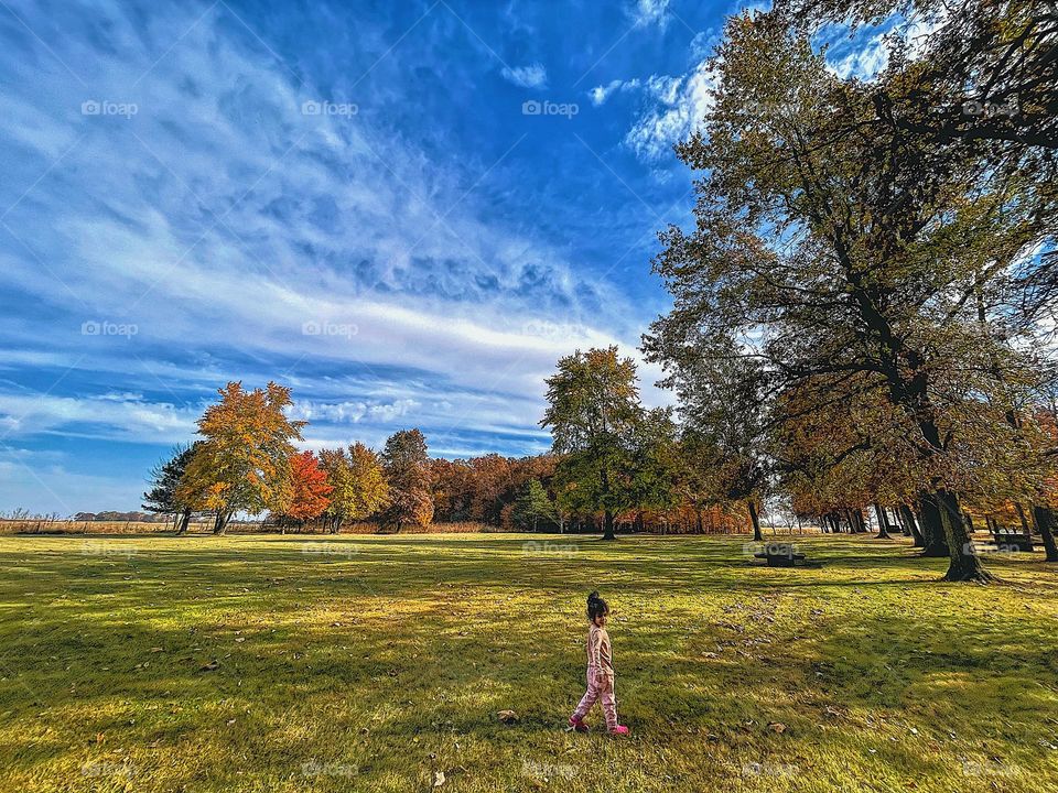 Toddler walking in the park with the fall leaves, toddler in the fall time, autumn trees in the sky, colorful trees and sky, colors of fall 