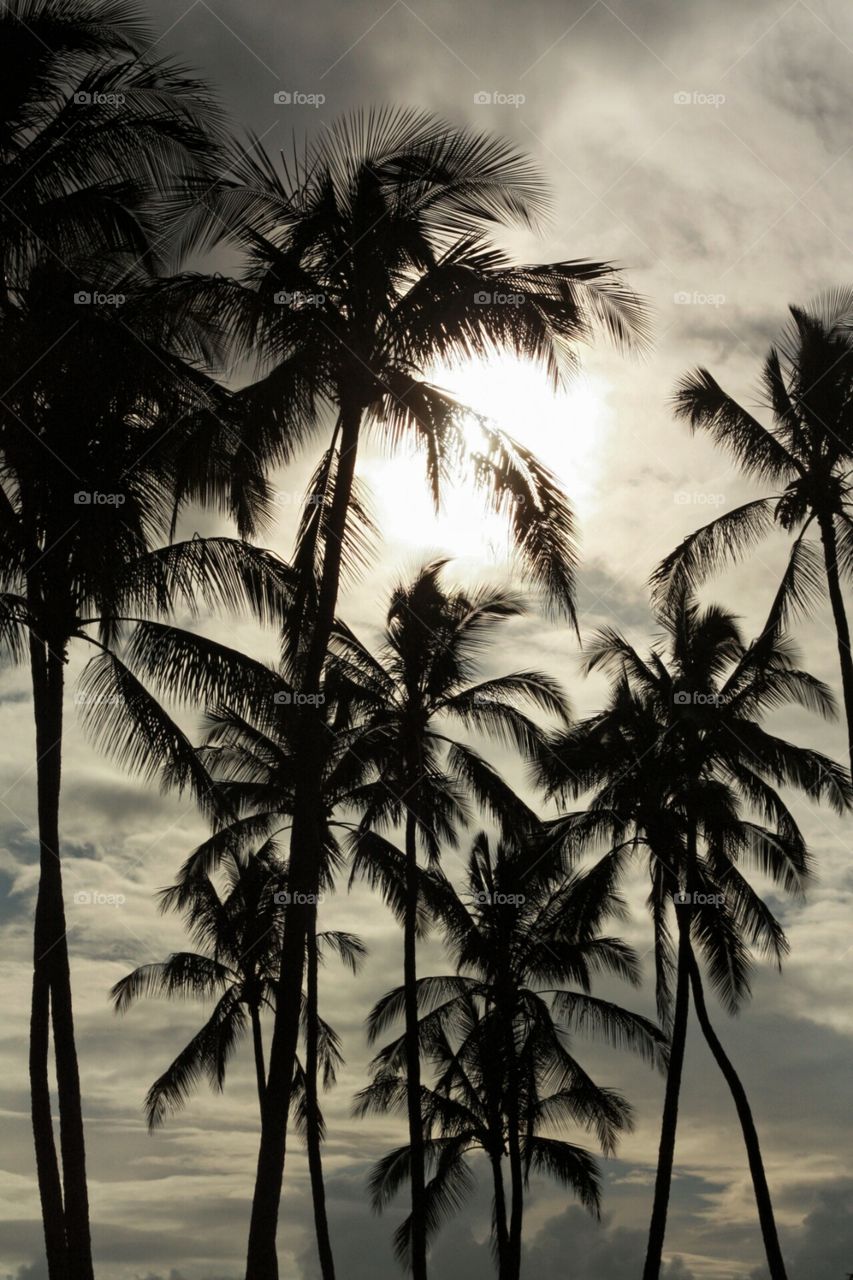 A Cloudy Maui Day