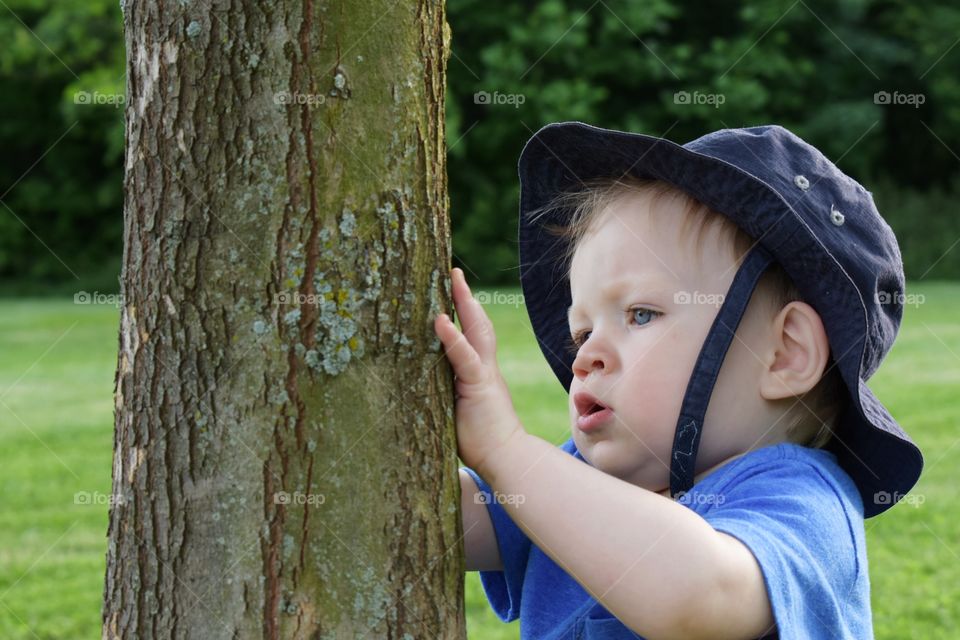 Baby boy exploring nature, examining tree bark