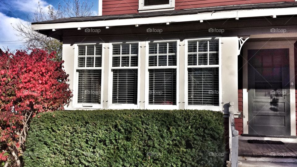 Front Porch Windows