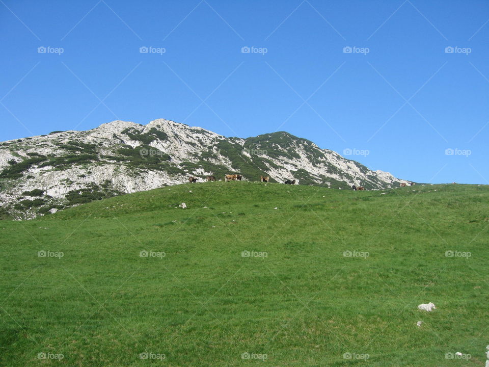 valley in mountain