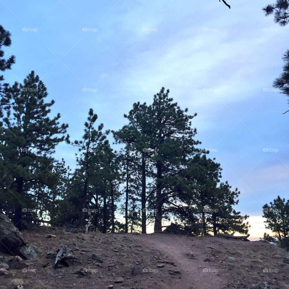 Running up here was difficult. That's the point. "There is grace in suffering. Suffering is part of the training program for wisdom." -- Ram Dass, "America’s Guru"
