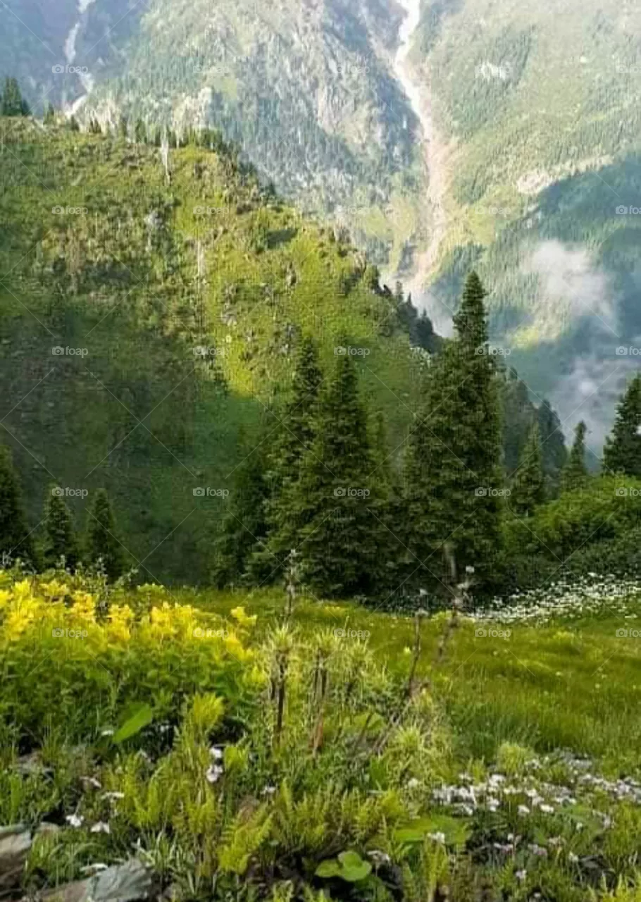 green land