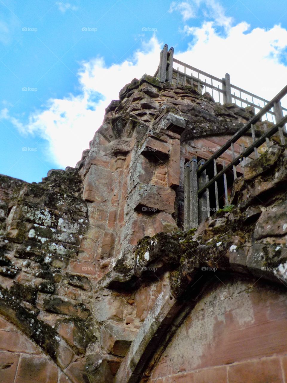 Moss and other destructive forces 