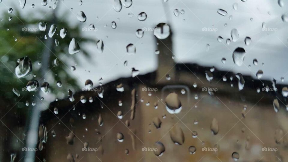 Rain