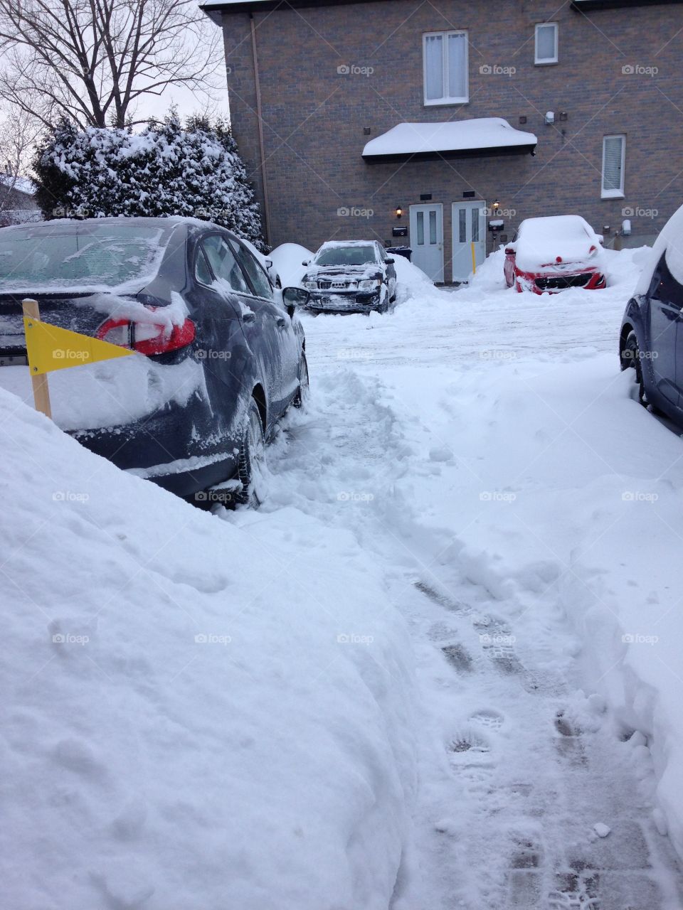 While you were sleeping, snow came and stayed. 