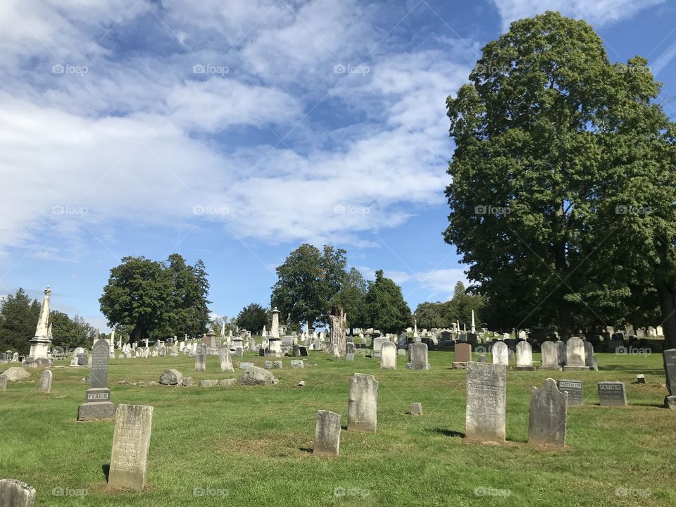 Cemetery view 