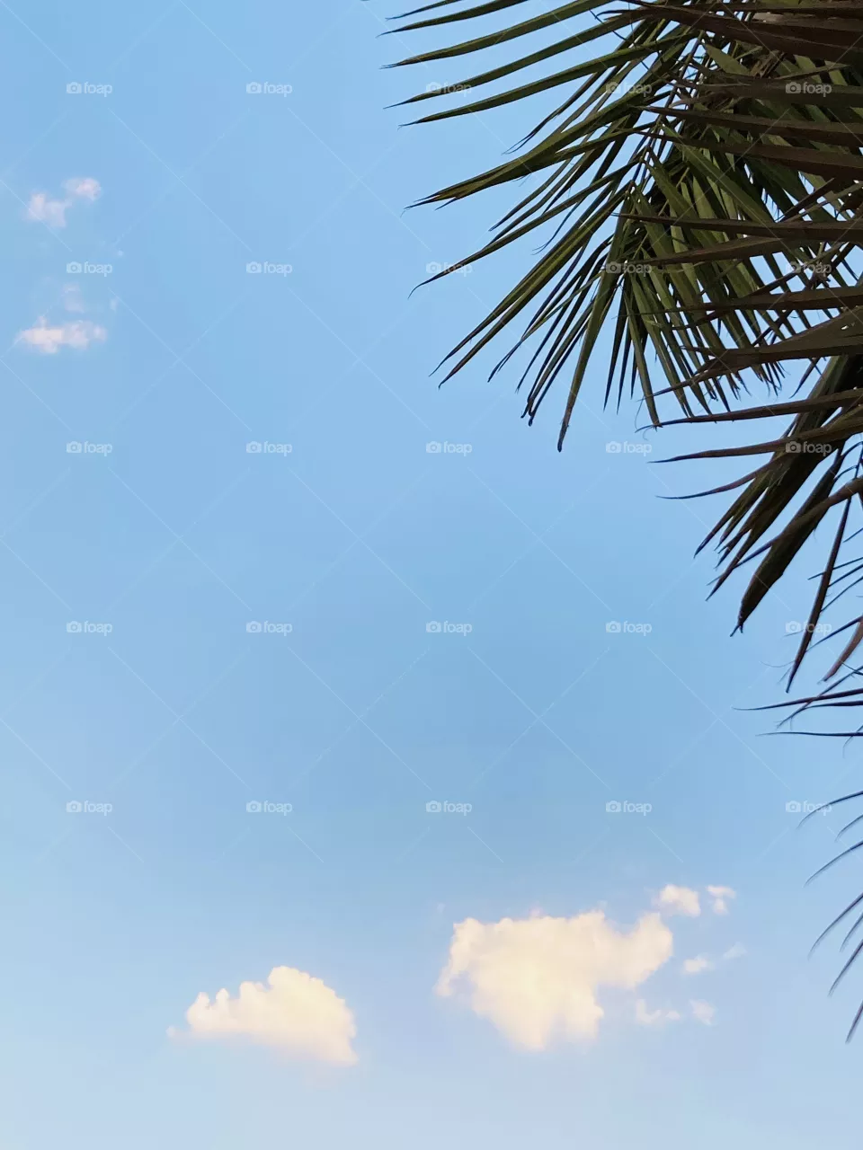 Sky and clouds 