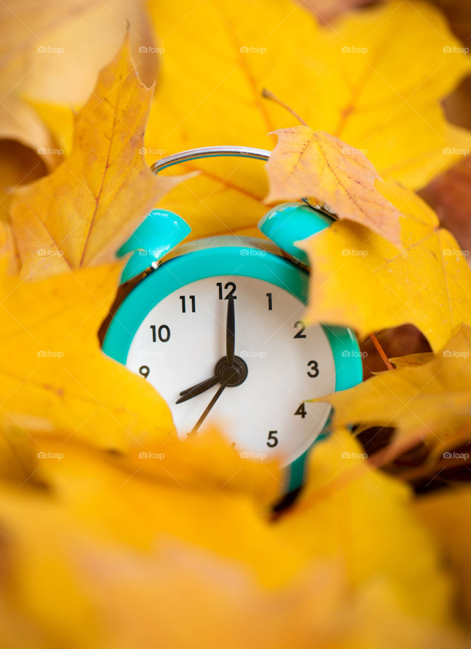 A clock in autumn leaf