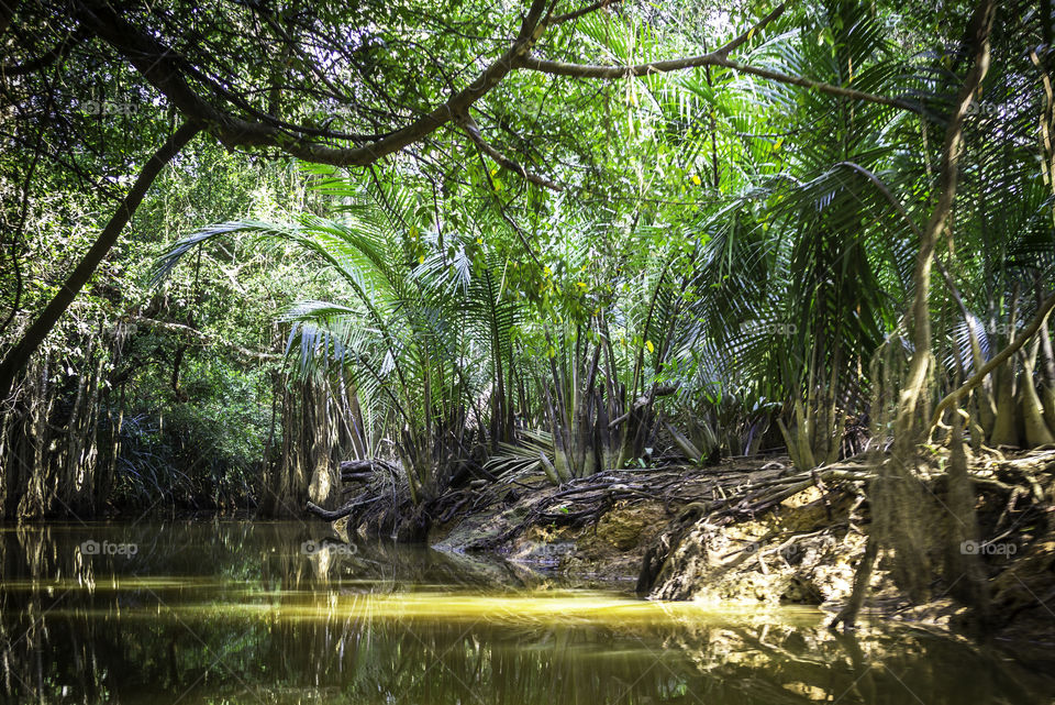 Canal at Phang Nga Province in Thailand