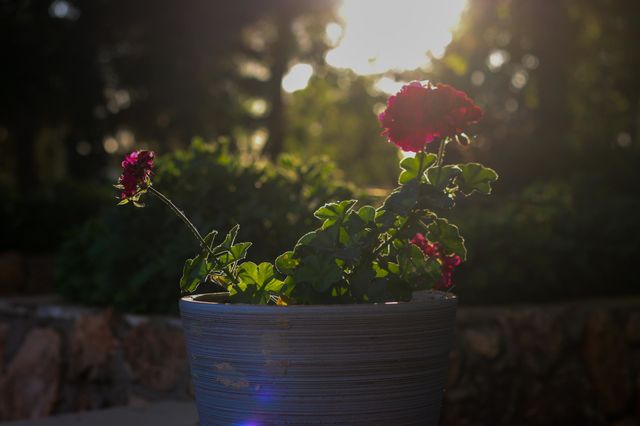 Beautiful sunrise