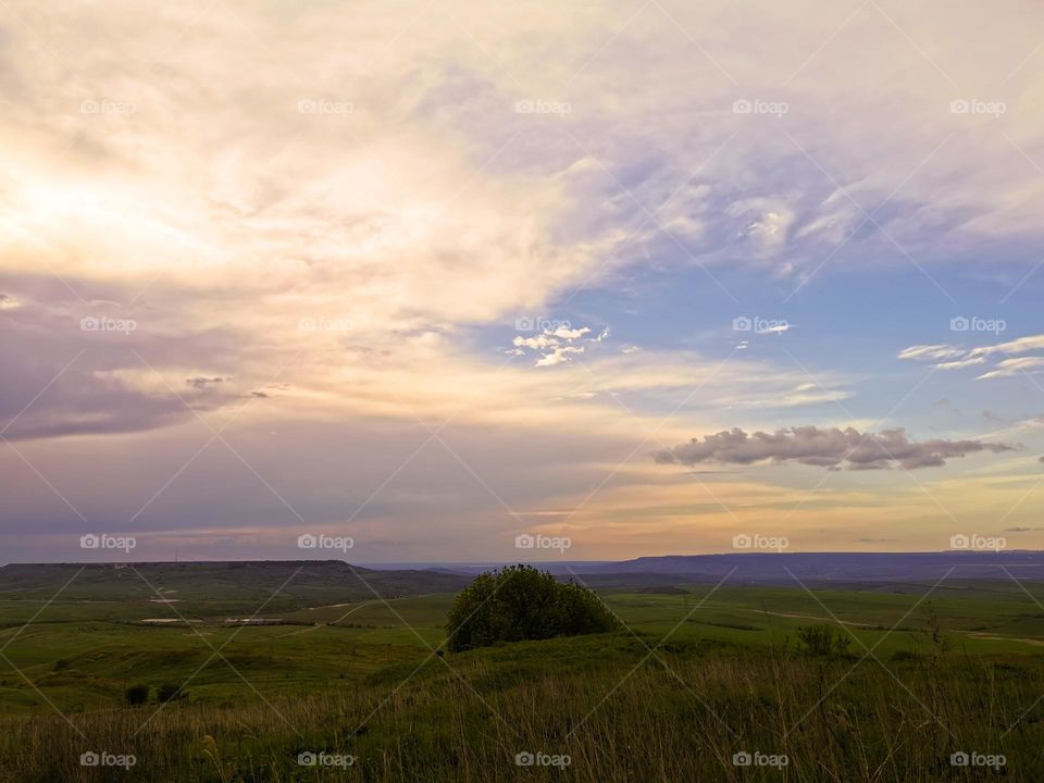Wild nature greens outdoor freedom outside field heaven moody sky clouds moody nature view eco focus day part sun sunny travel Light reys trip yellow violet glass herbs skyline horizont blue sky clouds foggy milky hills day details fluffy capture