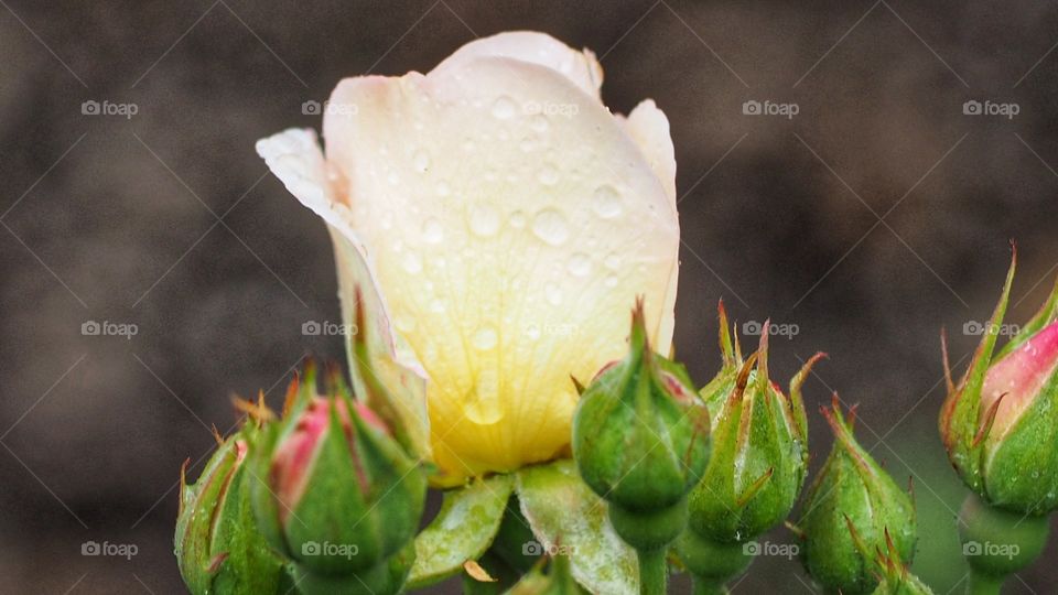 Experimentando
Experiencing