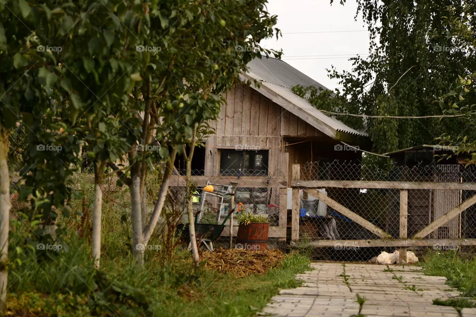 farm