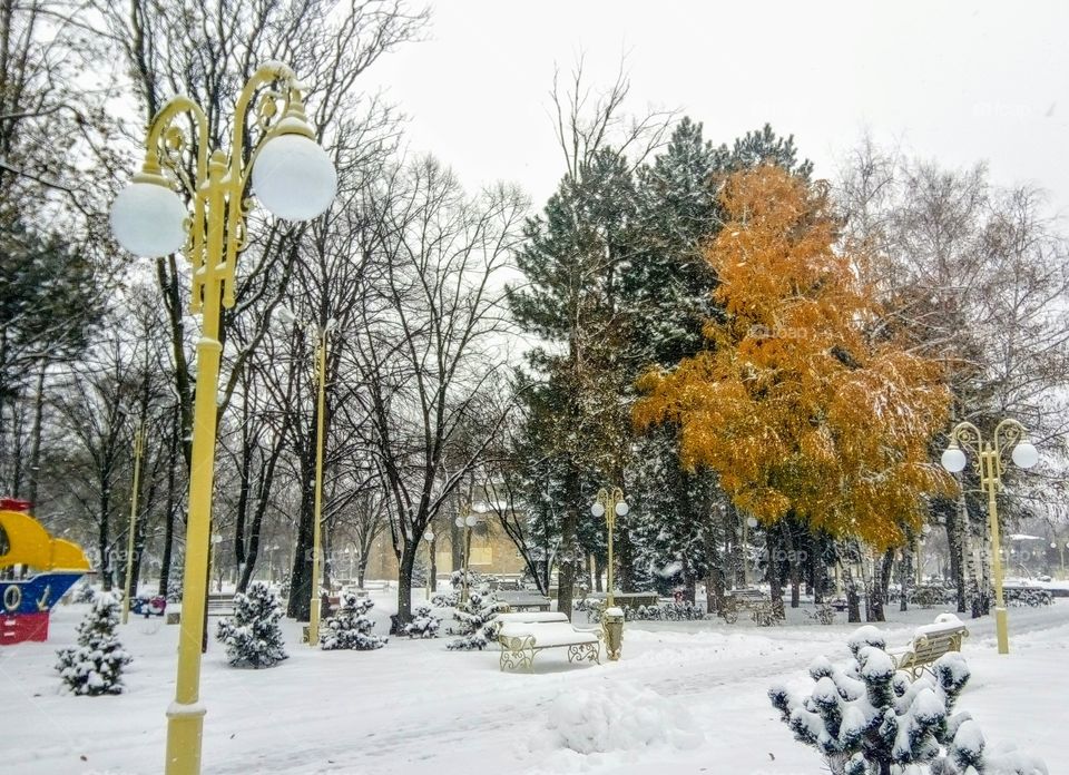 Winter. Park