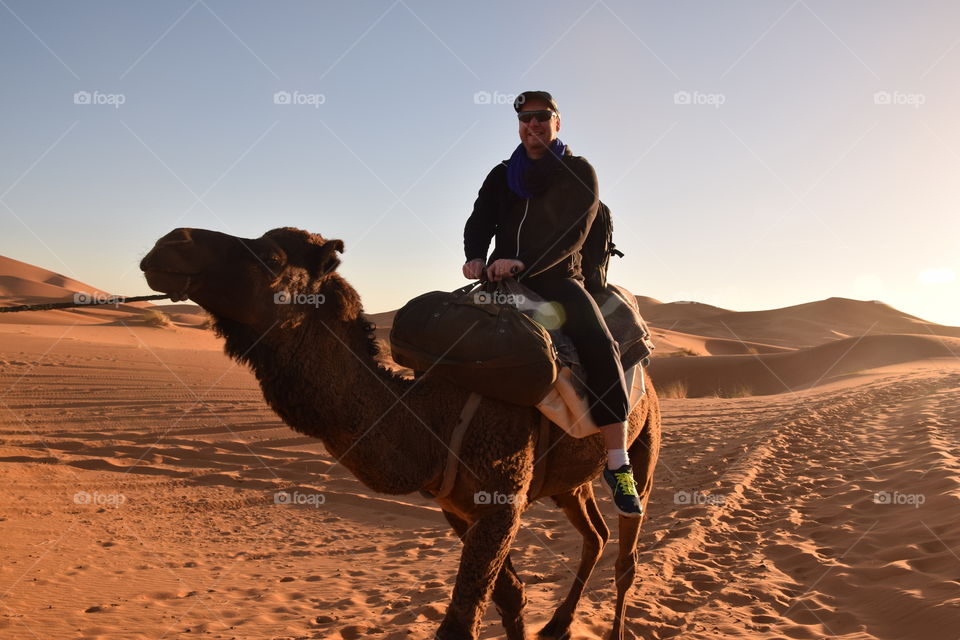 Man riding dromedary at Sahara desert sunset, Morroco
