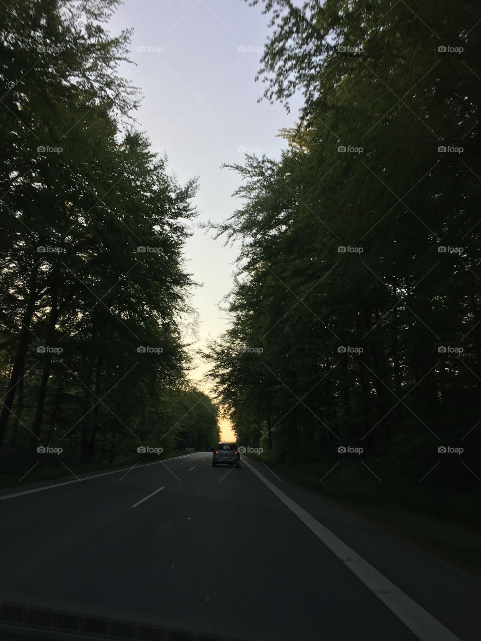 Evening road 