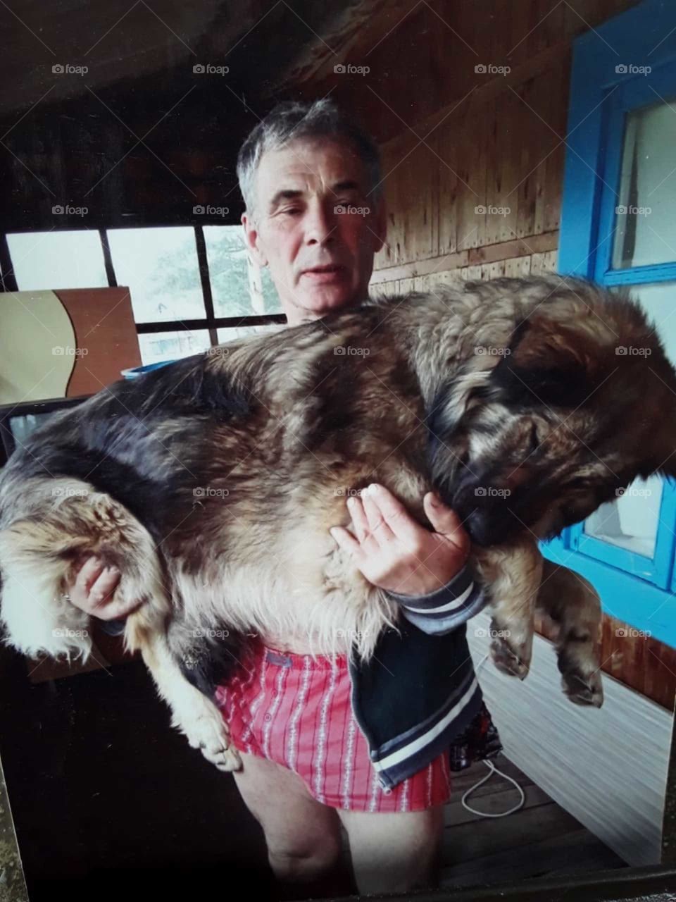 Kleine Hund Микки