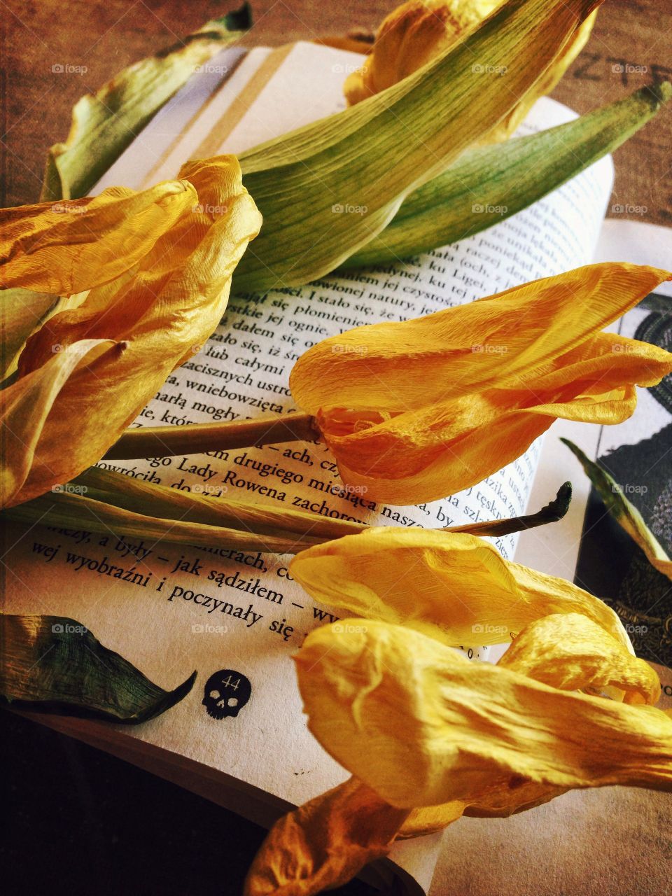 Tulips on the book 