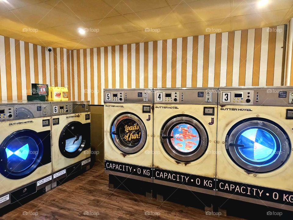 Goldfish and strange things appear in the drum washing machine