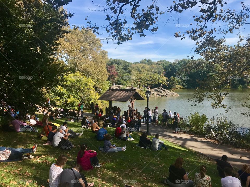 Saturday afternoon in the Central Park, NYC 